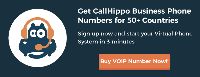 Virtual Phone System - CallHippo