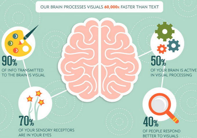 Brain Process Visuals