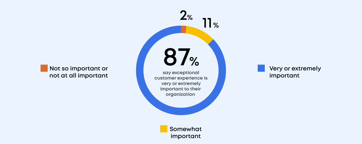 Pie chart showing customer experience