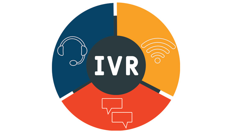 IVR Standard terms
