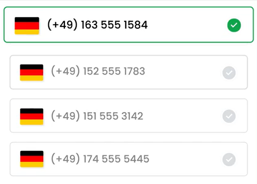 Germany Phone Number Format