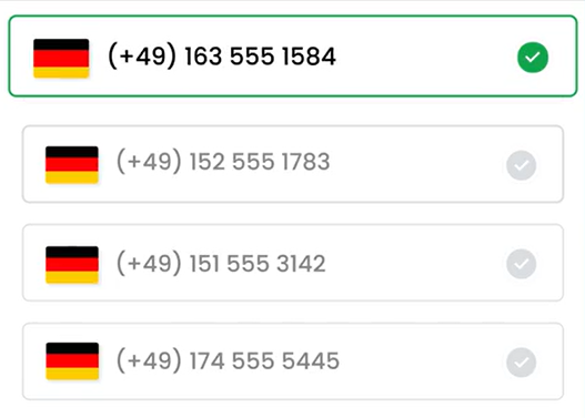 germany number format