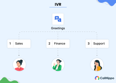 IVR caller interaction